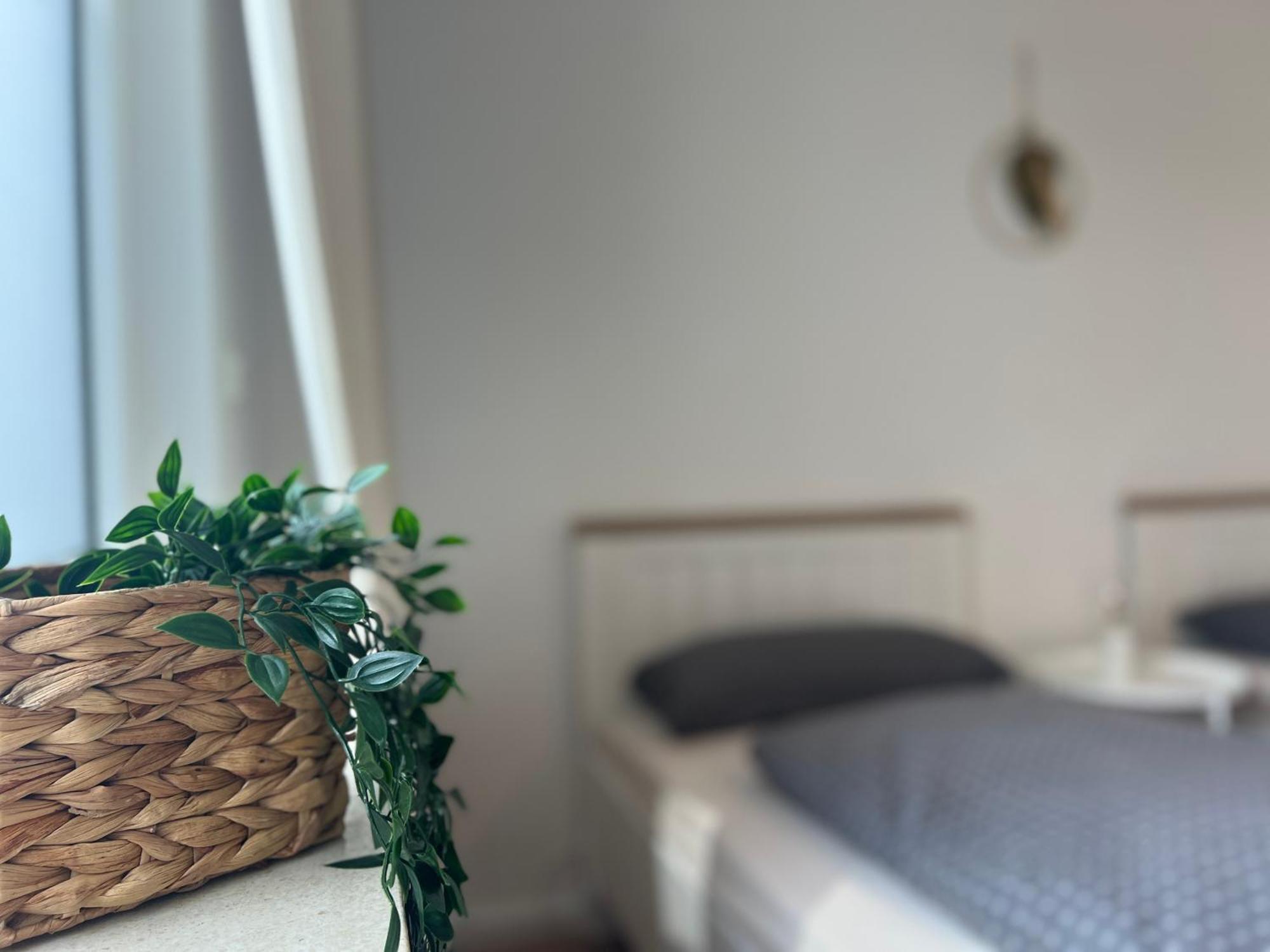 Apartments-Bad Harzburg, Zentrale Ferienwohnung Zewnętrze zdjęcie